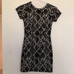 Aqua black and white fitted dress